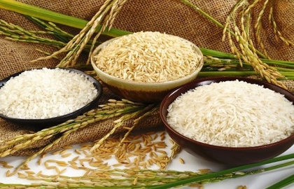 Thủ tục nhập khẩu gạo và xuất khẩu gạo